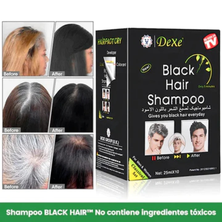 Shampoo Pinta Canas Negro 10 unidades